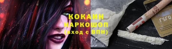 МДПВ Гусев