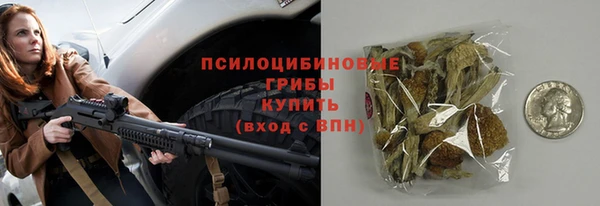 МДПВ Гусев