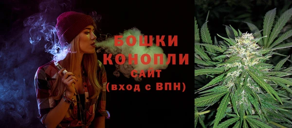 кокс Дмитров