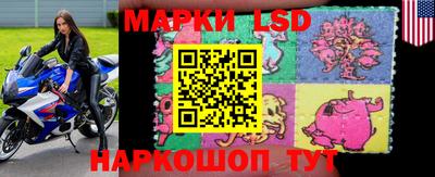 spice Донской
