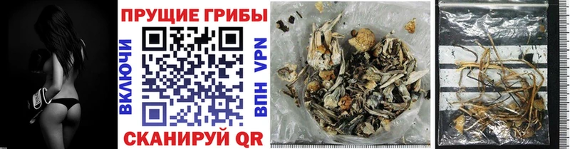 Галлюциногенные грибы Magic Shrooms Зима