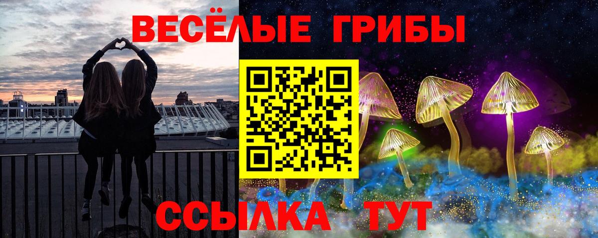 Галлюциногенные грибы Magic Shrooms Зима
