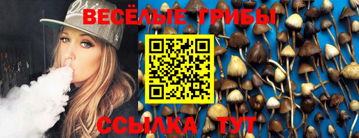 Галлюциногенные грибы Cubensis Зима