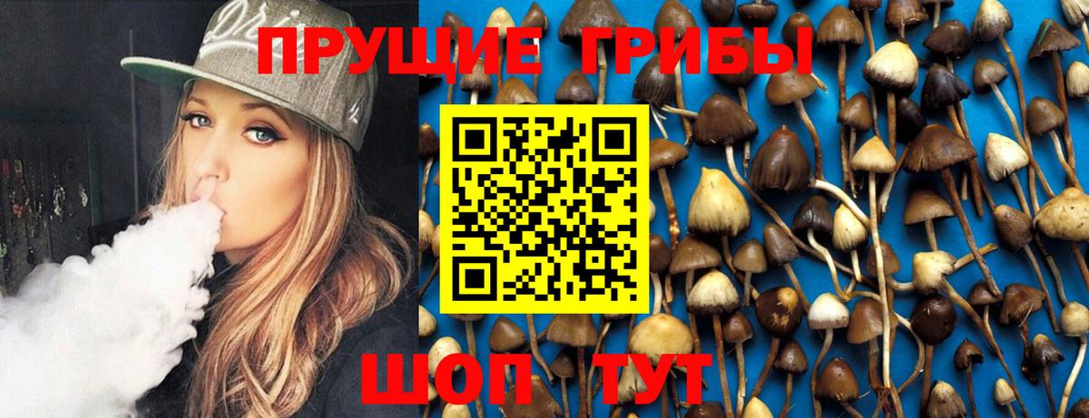 Зима  купить   Вход с VPN  Псилоцибиновые грибы прущие грибы 